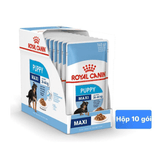 Pate Cho Chó Con Royal Canin Maxi Puppy 140g - Paddy Pet Shop